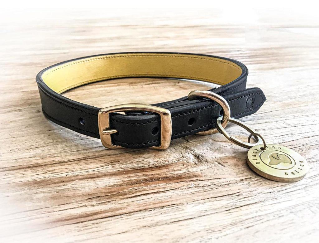 black leather dog collar on timber